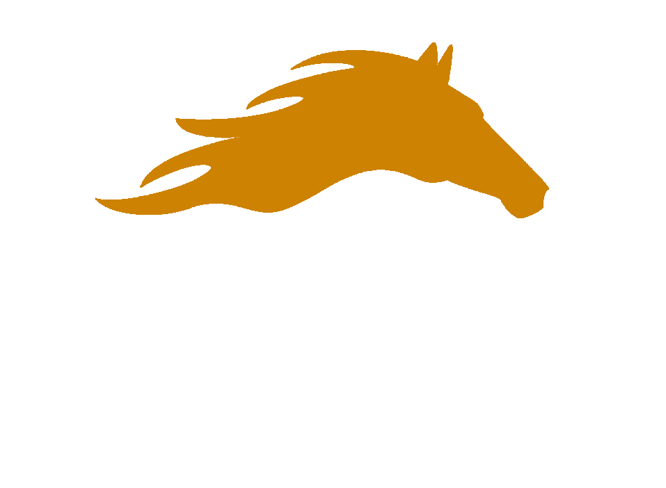 Fire Horse Digital